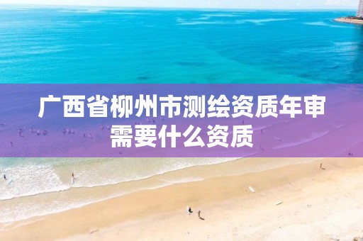 广西省柳州市测绘资质年审需要什么资质