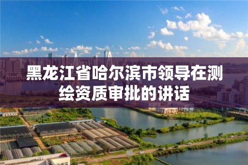 黑龙江省哈尔滨市领导在测绘资质审批的讲话