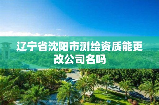 辽宁省沈阳市测绘资质能更改公司名吗