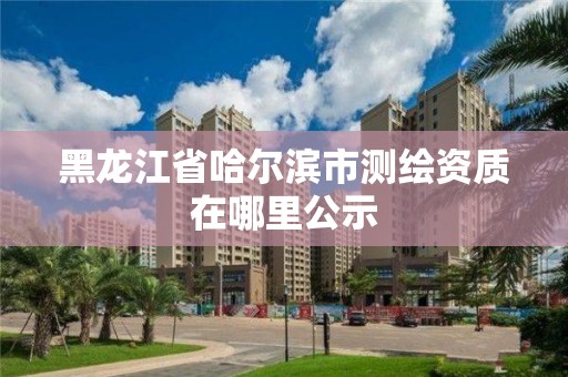 黑龙江省哈尔滨市测绘资质在哪里公示