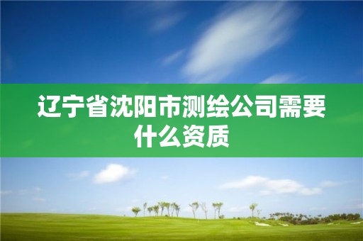 辽宁省沈阳市测绘公司需要什么资质