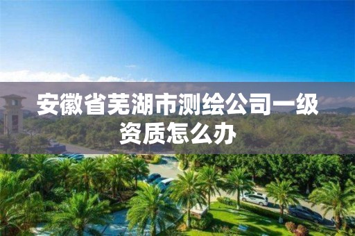 安徽省芜湖市测绘公司一级资质怎么办