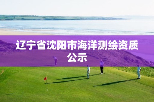 辽宁省沈阳市海洋测绘资质公示