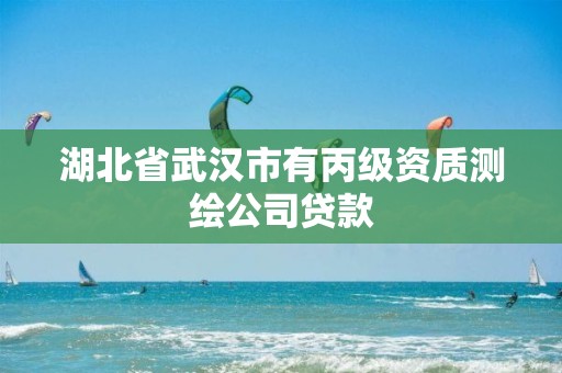 湖北省武汉市有丙级资质测绘公司贷款