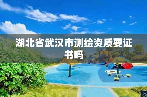 湖北省武汉市测绘资质要证书吗