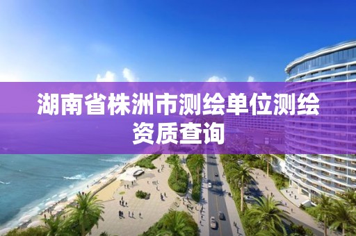 湖南省株洲市测绘单位测绘资质查询