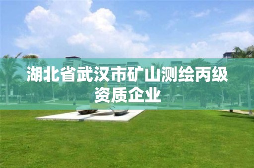 湖北省武汉市矿山测绘丙级资质企业