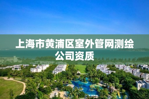 上海市黄浦区室外管网测绘公司资质