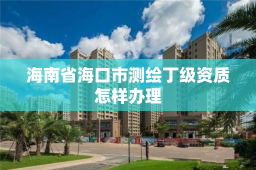 海南省海口市测绘丁级资质怎样办理