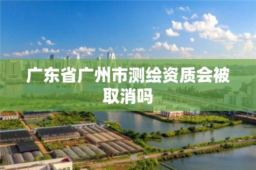 广东省广州市测绘资质会被取消吗