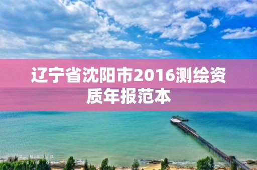 辽宁省沈阳市2016测绘资质年报范本