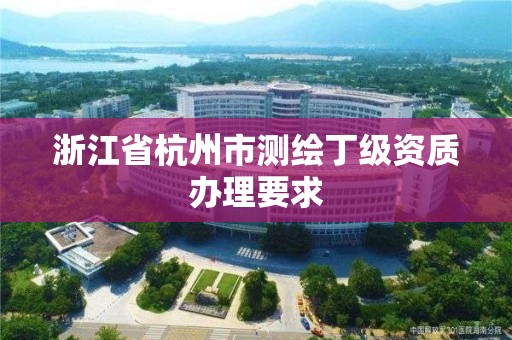 浙江省杭州市测绘丁级资质办理要求