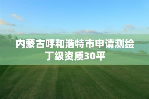 内蒙古呼和浩特市申请测绘丁级资质30平