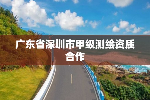 广东省深圳市甲级测绘资质合作