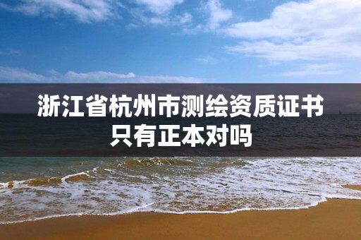 浙江省杭州市测绘资质证书只有正本对吗