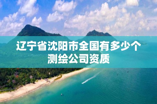 辽宁省沈阳市全国有多少个测绘公司资质