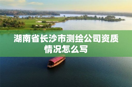 湖南省长沙市测绘公司资质情况怎么写