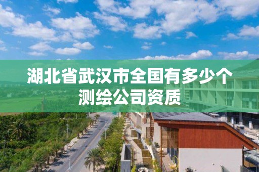 湖北省武汉市全国有多少个测绘公司资质