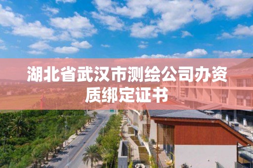 湖北省武汉市测绘公司办资质绑定证书