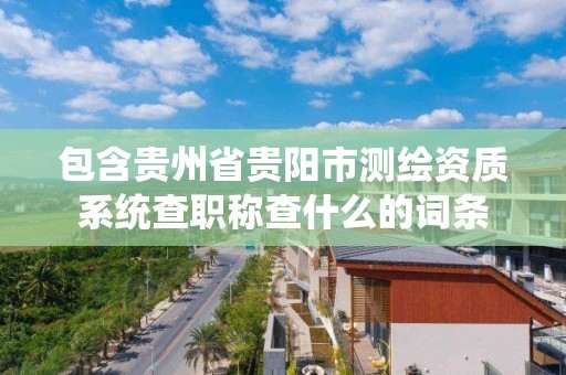 包含贵州省贵阳市测绘资质系统查职称查什么的词条