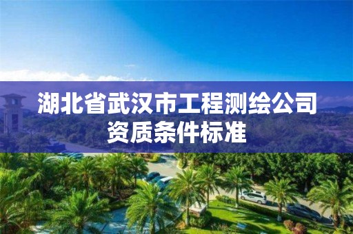 湖北省武汉市工程测绘公司资质条件标准