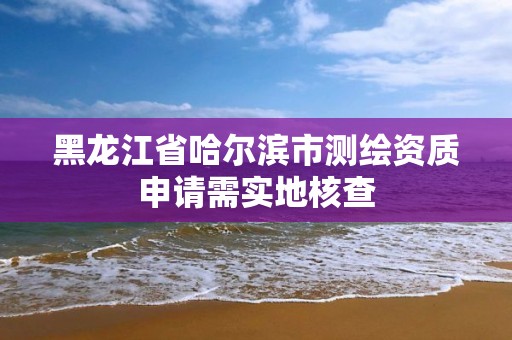 黑龙江省哈尔滨市测绘资质申请需实地核查