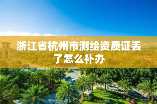 浙江省杭州市测绘资质证丢了怎么补办