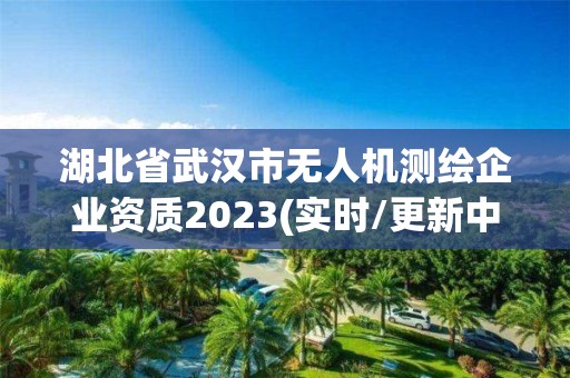 湖北省武汉市无人机测绘企业资质2023(实时/更新中)