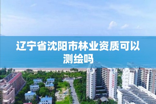 辽宁省沈阳市可以测绘吗