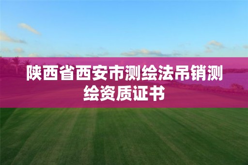 陕西省西安市测绘法吊销测绘资质证书