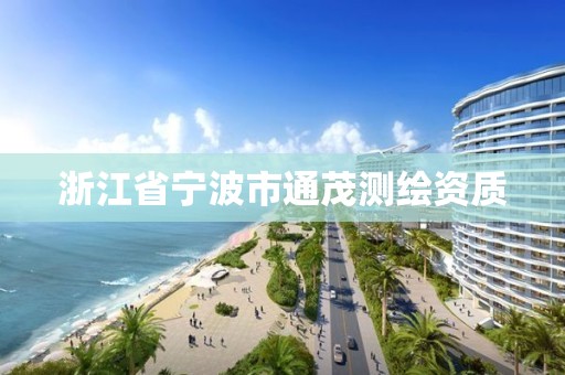 浙江省宁波市通茂测绘资质