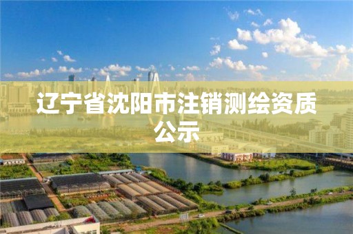 辽宁省沈阳市注销测绘资质公示