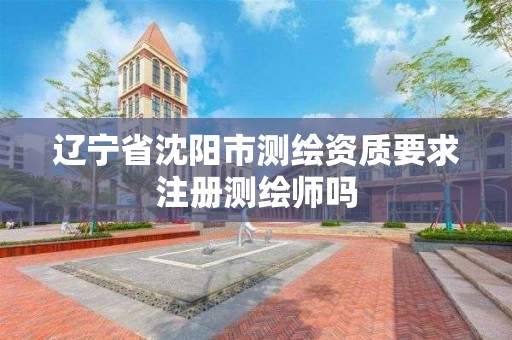 辽宁省沈阳市测绘资质要求注册测绘师吗