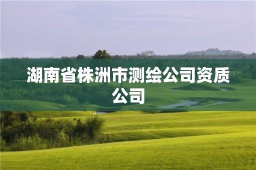 湖南省株洲市测绘公司资质公司