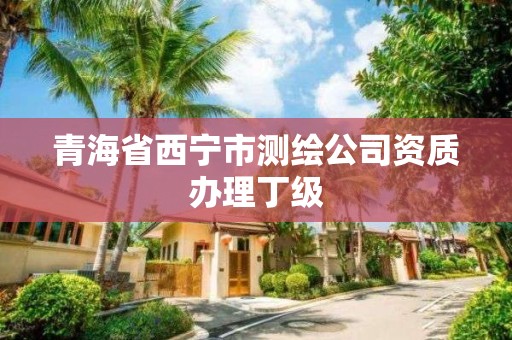 青海省西宁市测绘公司资质办理丁级