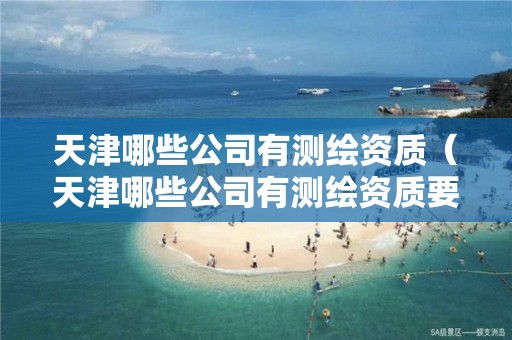 天津哪些公司有测绘资质（天津哪些公司有测绘资质要求）