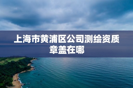 上海市黄浦区公司测绘资质章盖在哪