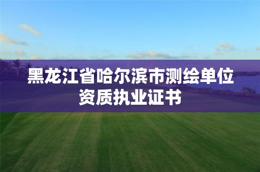 黑龙江省哈尔滨市测绘单位资质执业证书