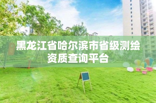 黑龙江省哈尔滨市省级测绘资质查询平台