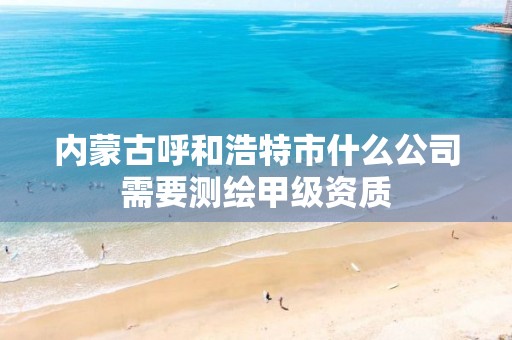 内蒙古呼和浩特市什么公司需要测绘甲级资质