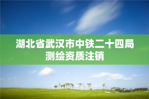 湖北省武汉市中铁二十四局测绘资质注销