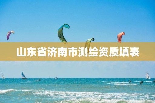 山东省济南市测绘资质填表