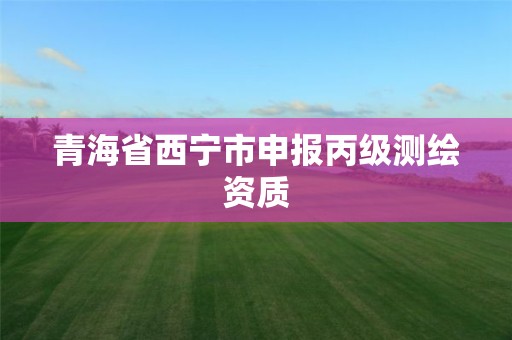 青海省西宁市申报丙级测绘资质