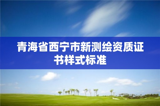 青海省西宁市新测绘资质证书样式标准