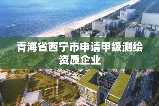 青海省西宁市申请甲级测绘资质企业