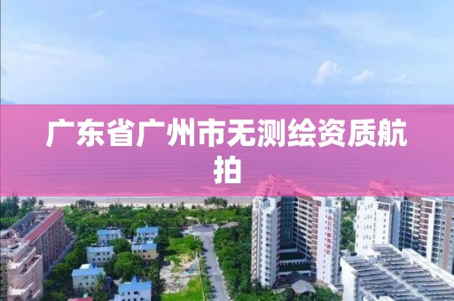 广东省广州市无测绘资质航拍