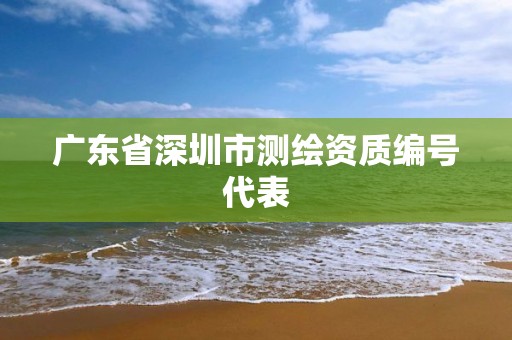 广东省深圳市测绘资质编号代表