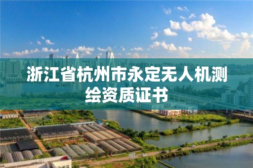 浙江省杭州市永定无人机测绘资质证书