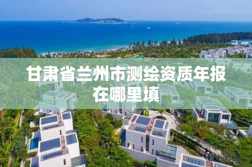 甘肃省兰州市测绘资质年报在哪里填