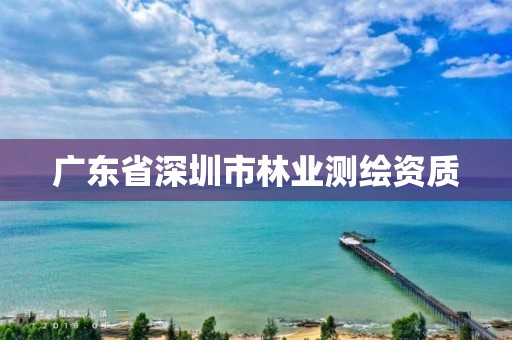 广东省深圳市林业测绘资质